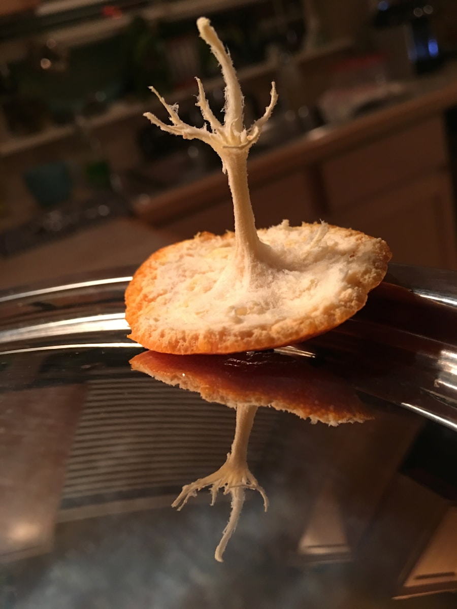 Legalizacja marihuany w pieczywie: nowy trend - image 1